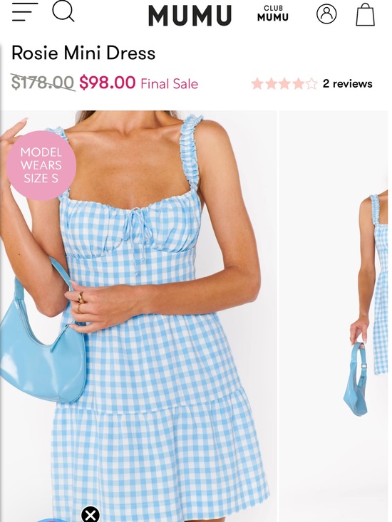Show Me Your MuMu Dresses & Skirts - Show Me Your MuMu Light Blue Gingham Rosie Mini Dress